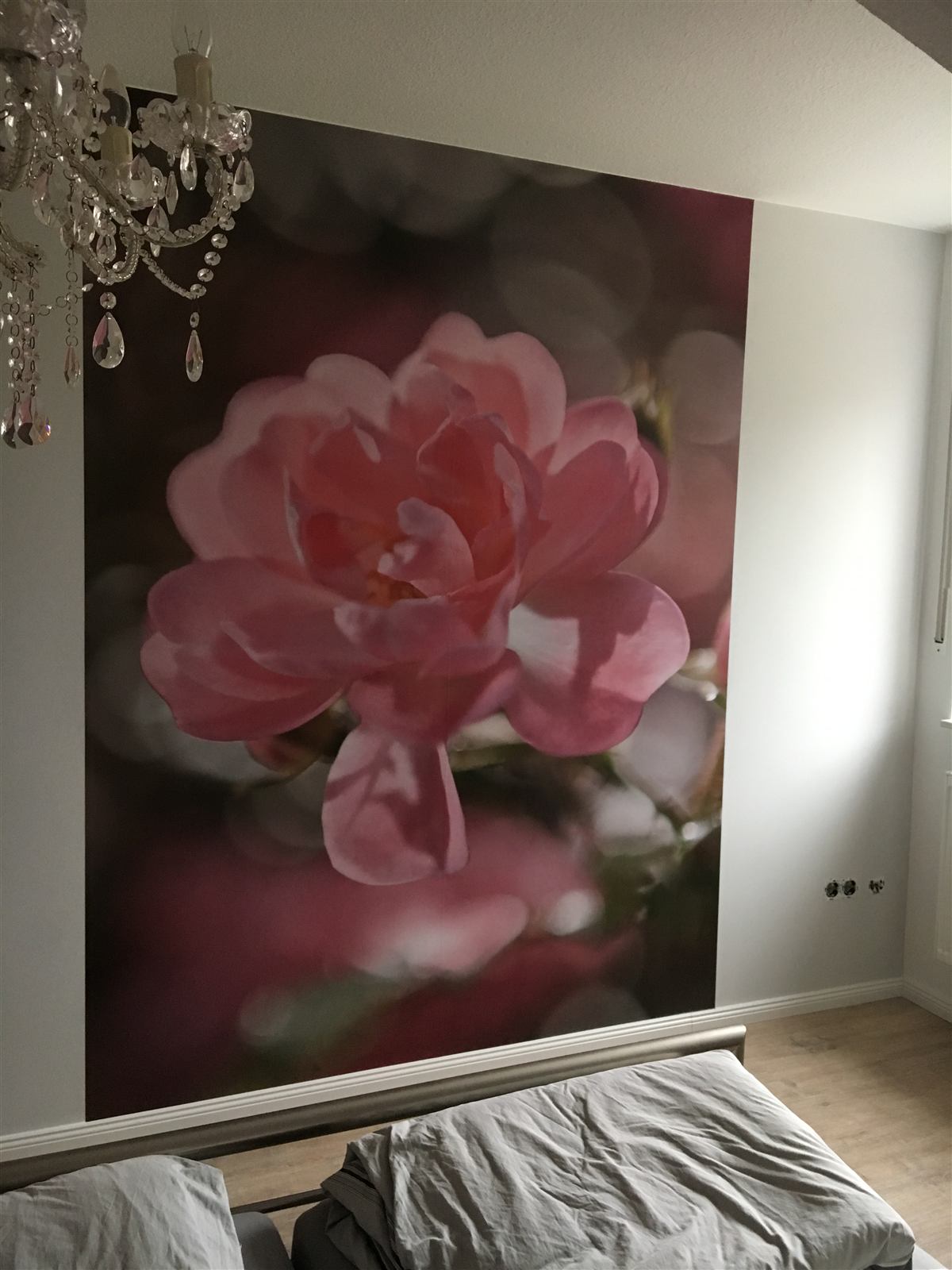 Fototapete mit rosafarbener Rose im Schlafzimmer